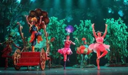 桃花公主爆料视频播放,揭秘幕后真相，精彩瞬间回顾